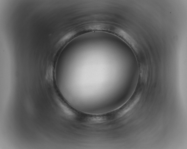 X0000111680445200907241236