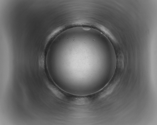 X0000111680446200907241236