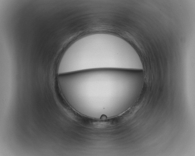 X0000111680448200907241236