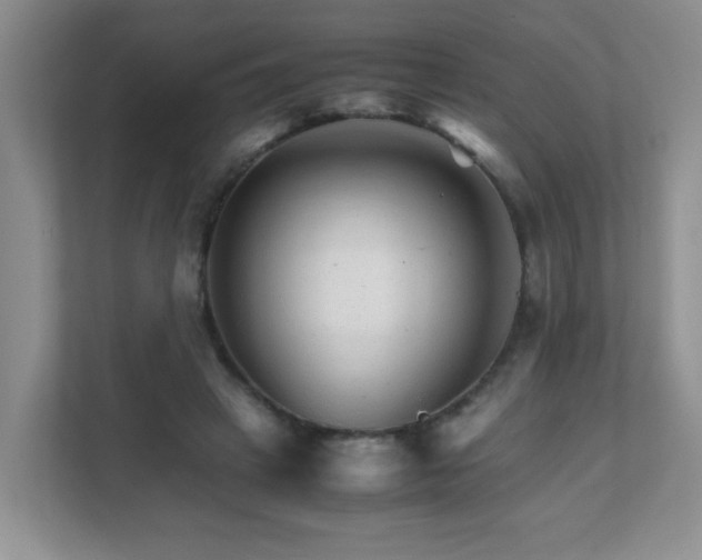 X0000111680449200907241236