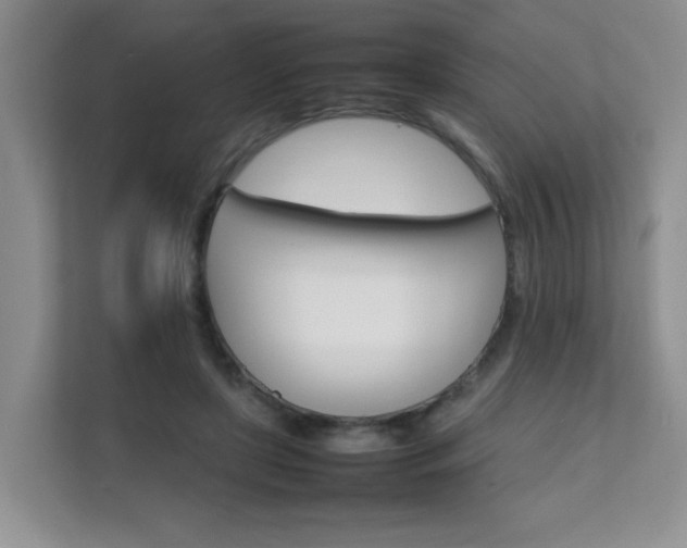 X0000111680451200907241236