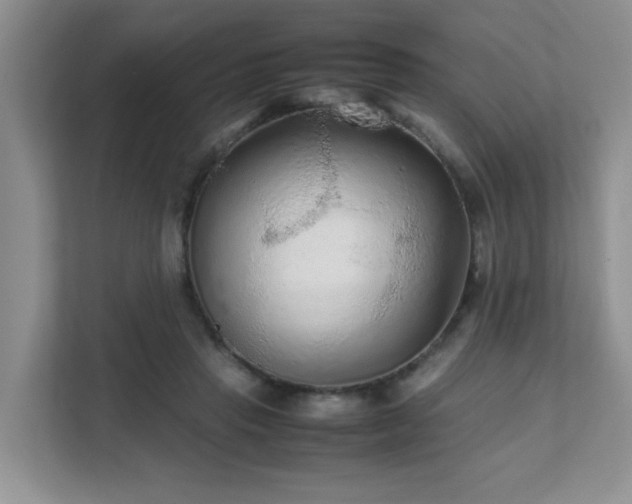 X0000111680453200907241236