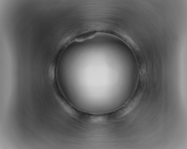 X0000111680454200907241236