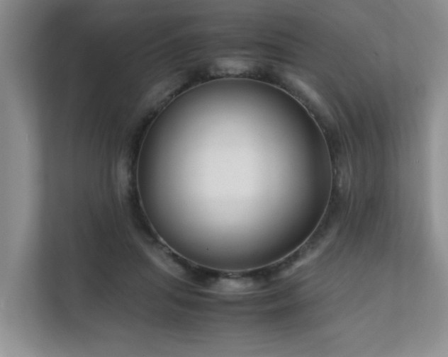 X0000111680455200907241236