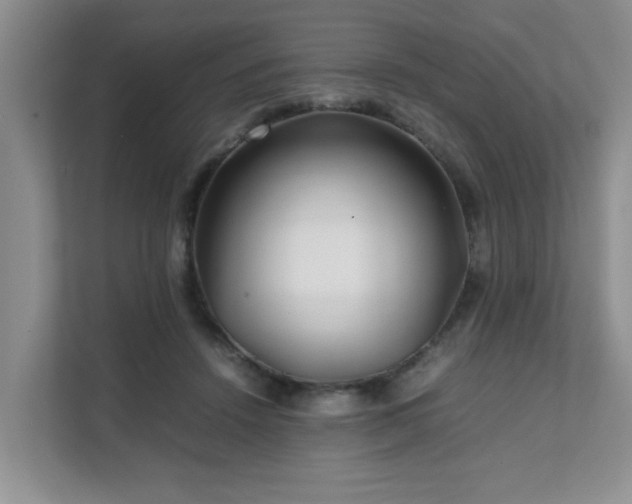 X0000111680456200907241236