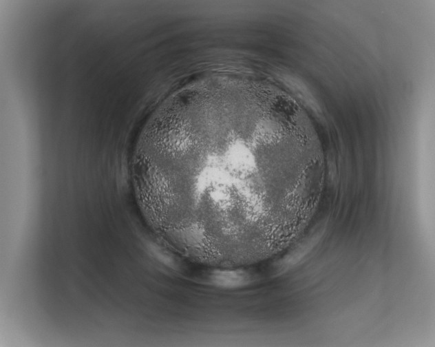 X0000111680457200907241236