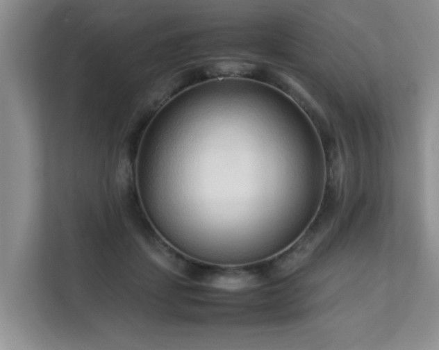 X0000111680459200907241236