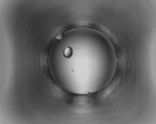 X0000111680462200907241236