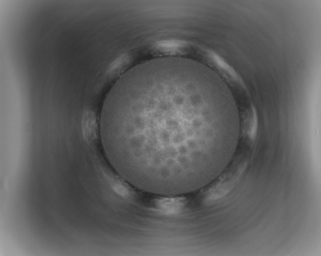 X0000111680465200907241236