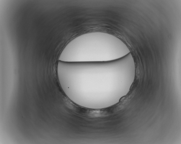 X0000111680473200907241236