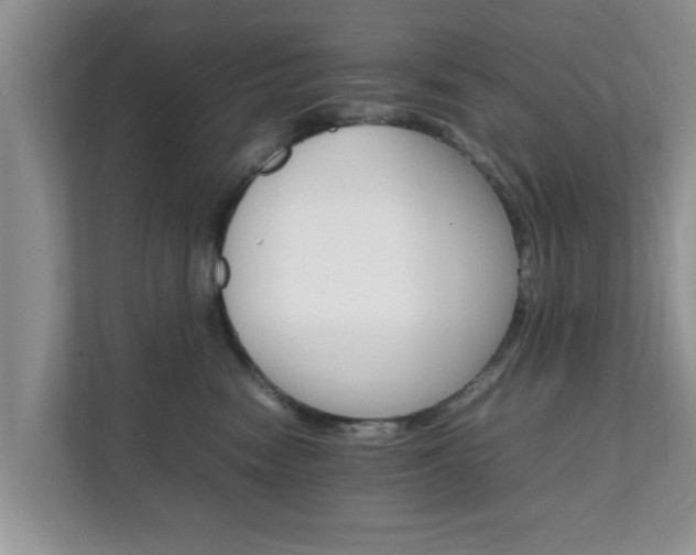 X0000111680474200907241236