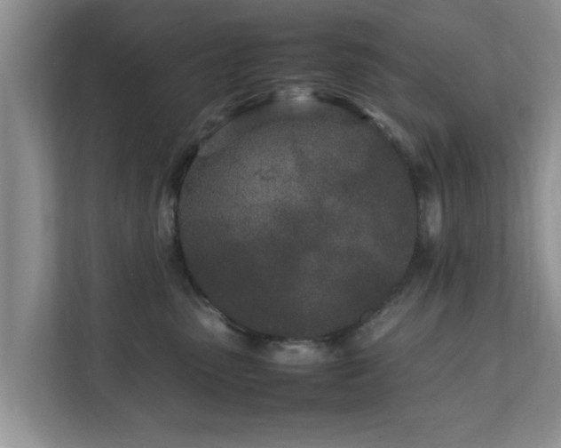 X0000111680475200907241236