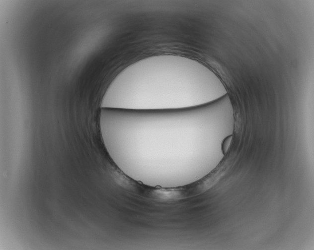 X0000111680477200907241236