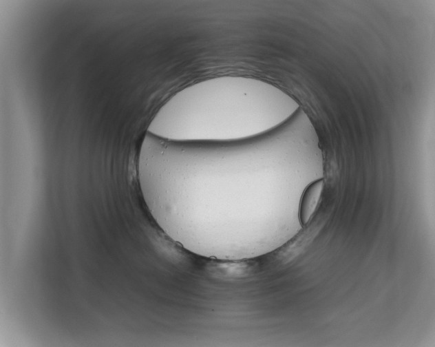 X0000111680478200907241236