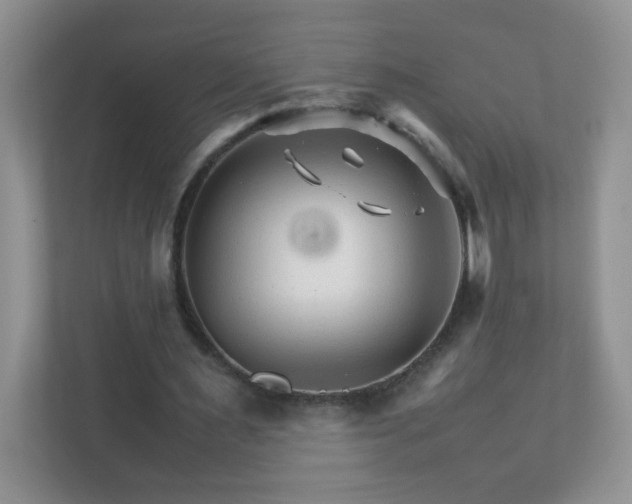 X0000111680483200907241236