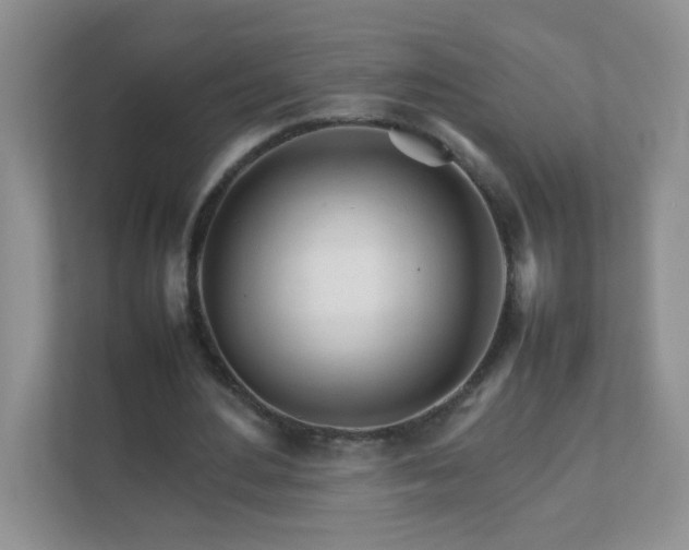 X0000111680484200907241236