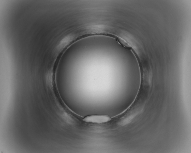 X0000111680485200907241236