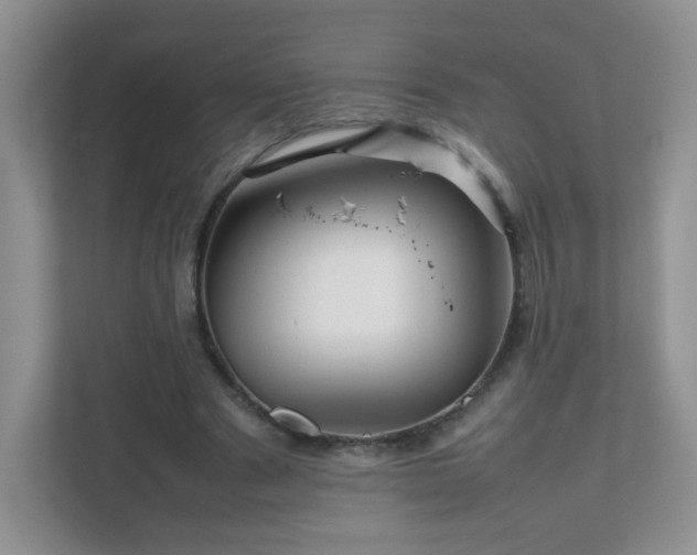 X0000111680489200907241236