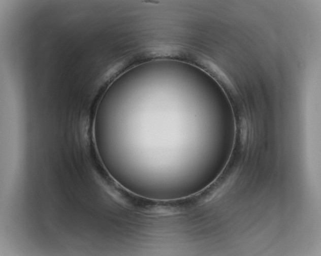 X0000111680490200907241236