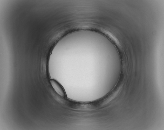 X0000111680493200907241236