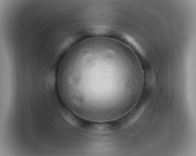 X0000111680495200907241236