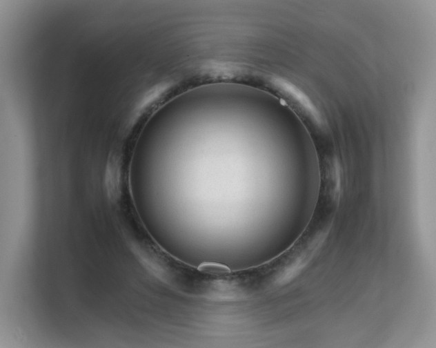 X0000111680496200907241236