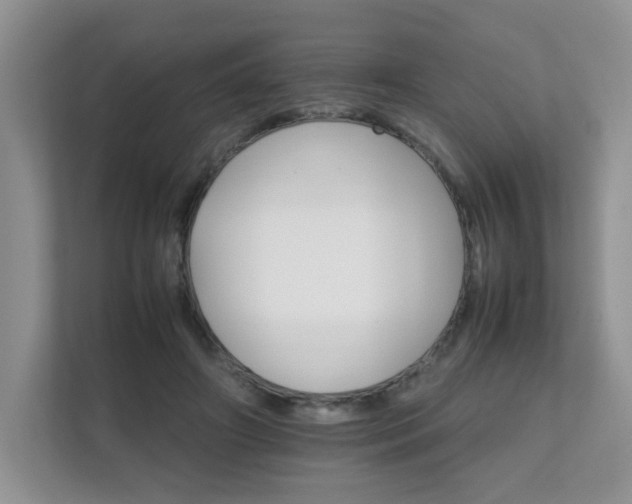 X0000111680498200907241236