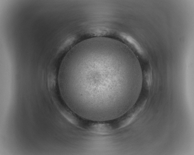 X0000111680499200907241236