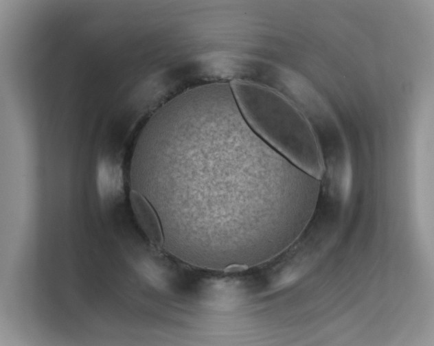 X0000111680500200907241236