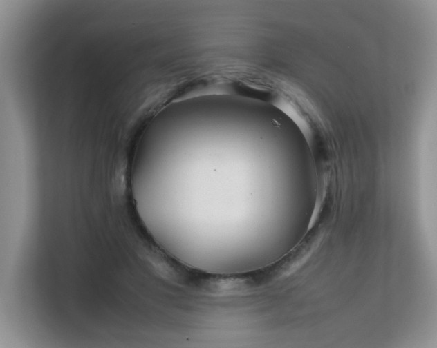 X0000111680501200907241236