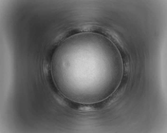 X0000111680503200907241236