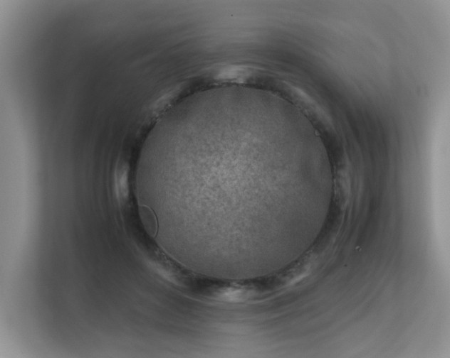 X0000111680504200907241236