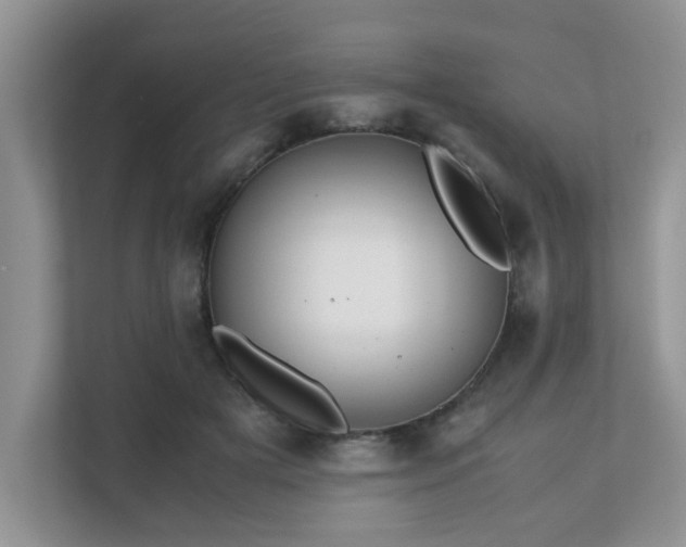 X0000111680505200907241236