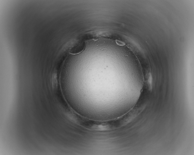 X0000111680506200907241235