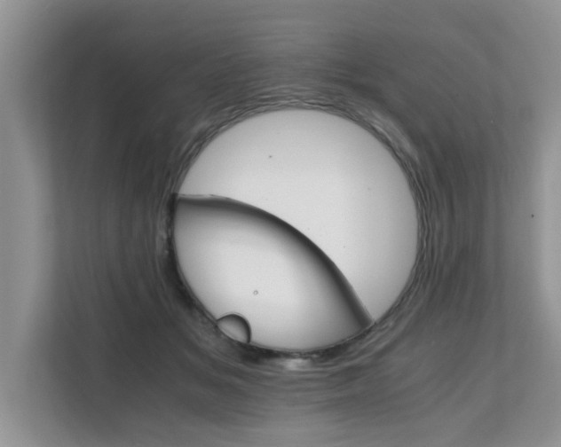 X0000111680509200907241235