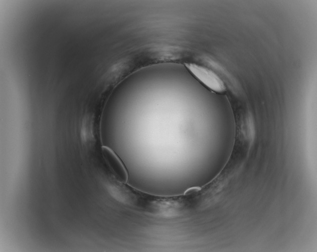 X0000111680512200907241235