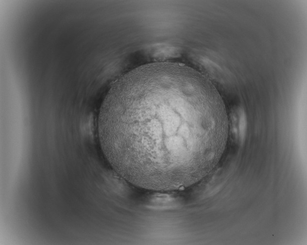 X0000111680519200907241235