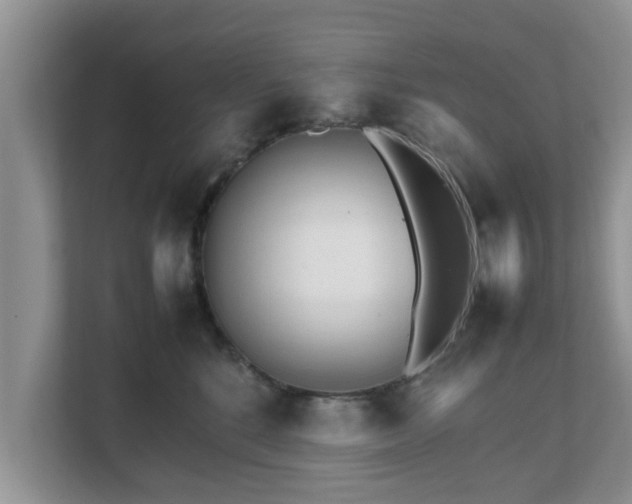 X0000111680520200907241235