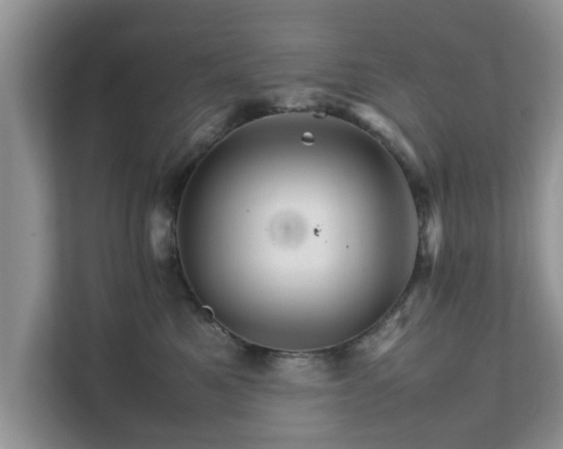 X0000111680521200907241235