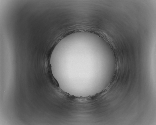 X0000111680524200907241235