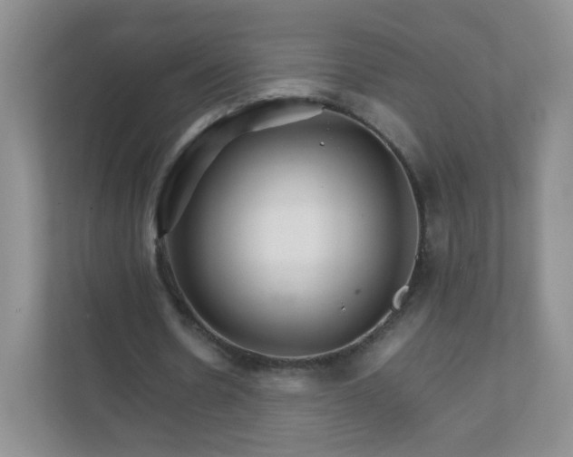 X0000111680530200907241235