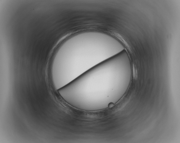 X0000111680531200907241235