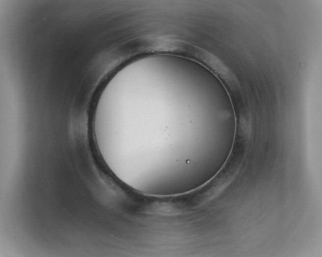 X0000111680534200907241235