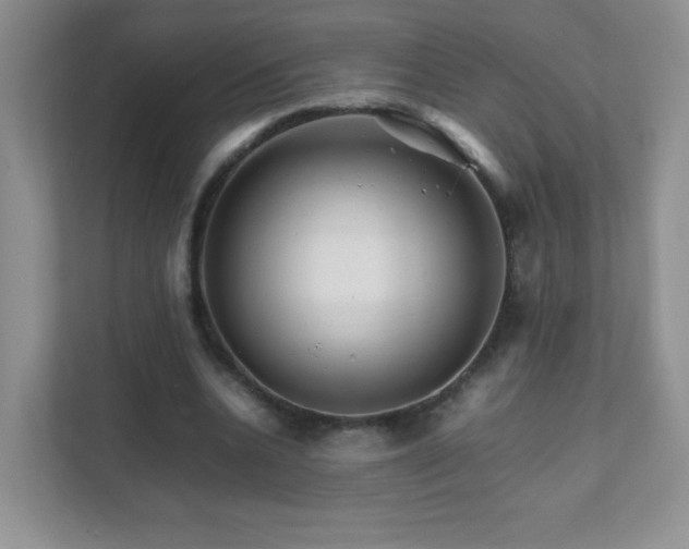 X0000111680536200907241235