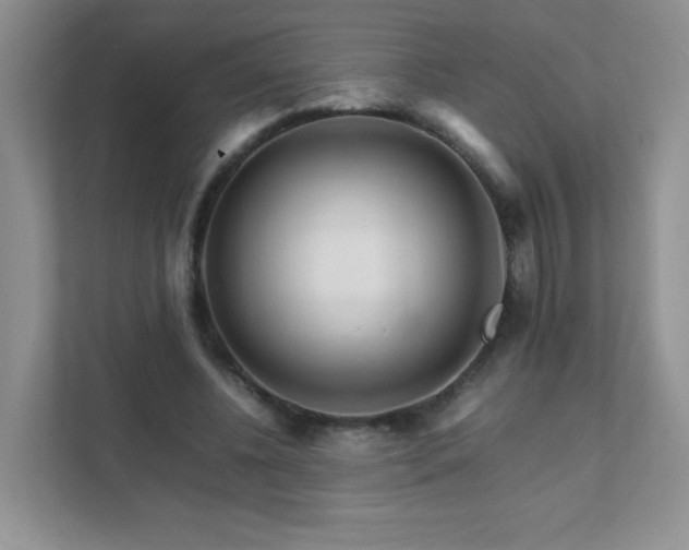 X0000111680540200907241235