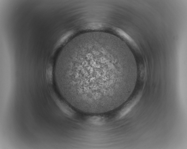 X0000111680542200907241235