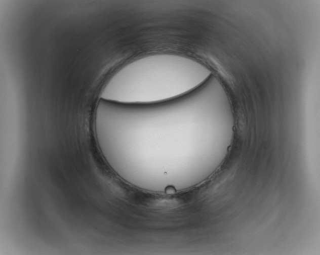 X0000111680543200907241235