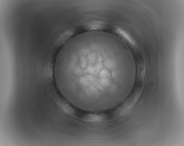 X0000111680545200907241235