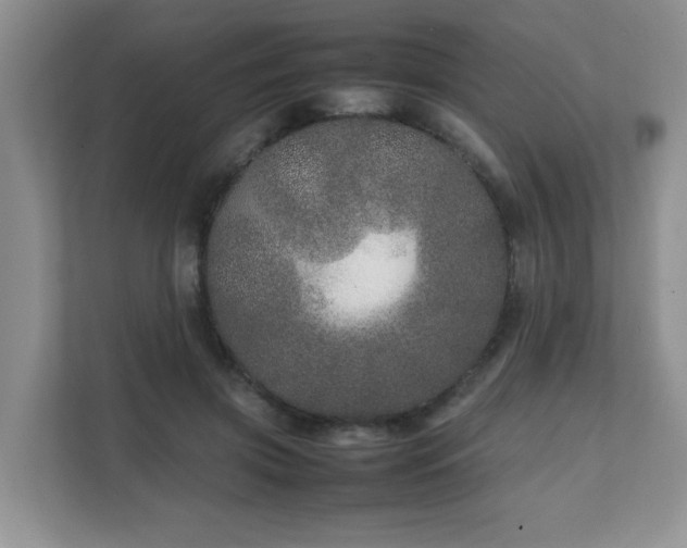 X0000111680549200907241235