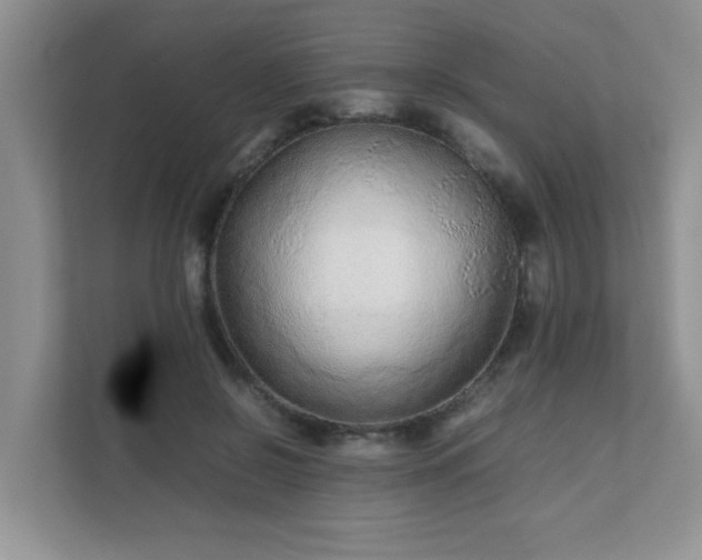 X0000111680550200907241235